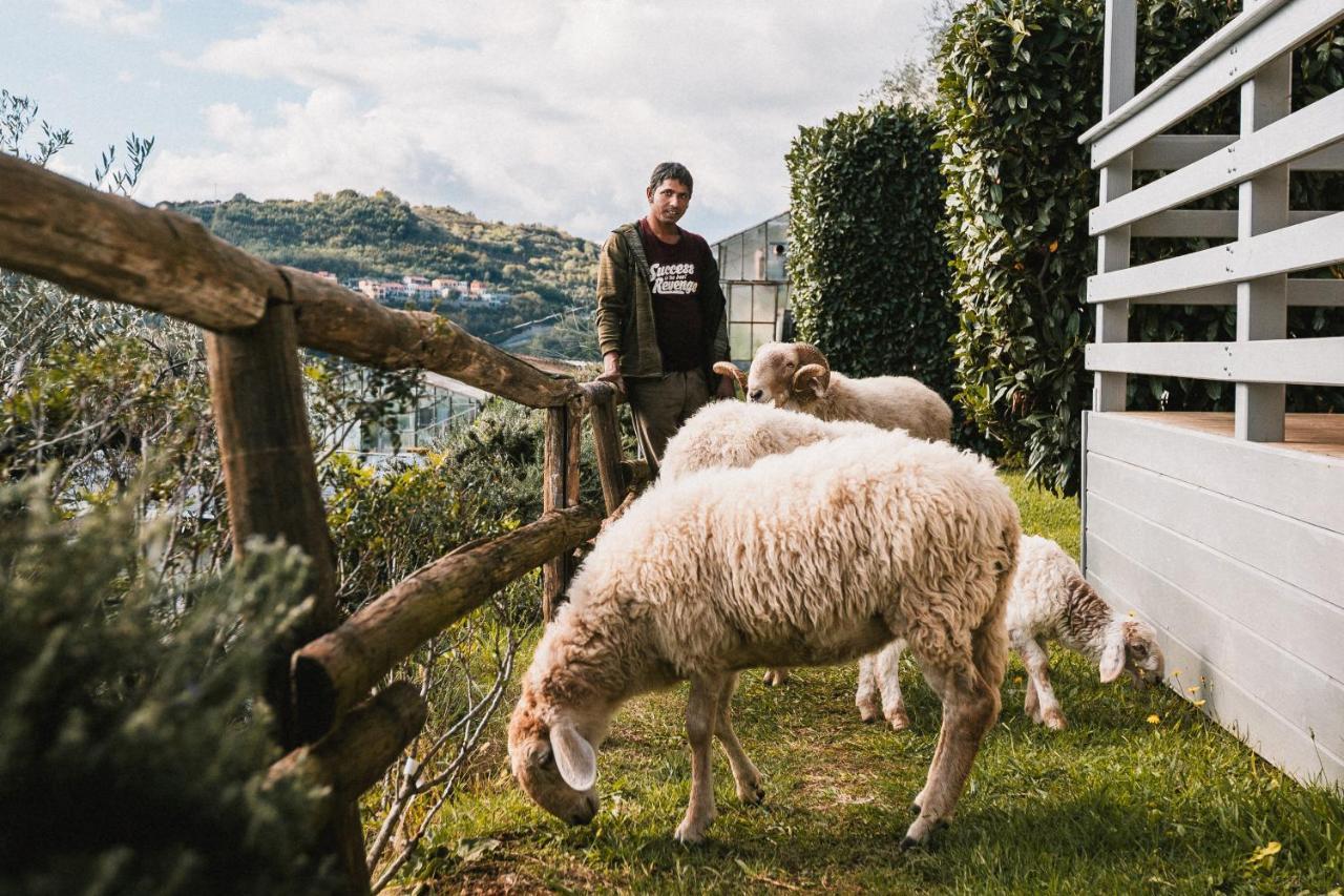Farm stay Rose Di Pietra