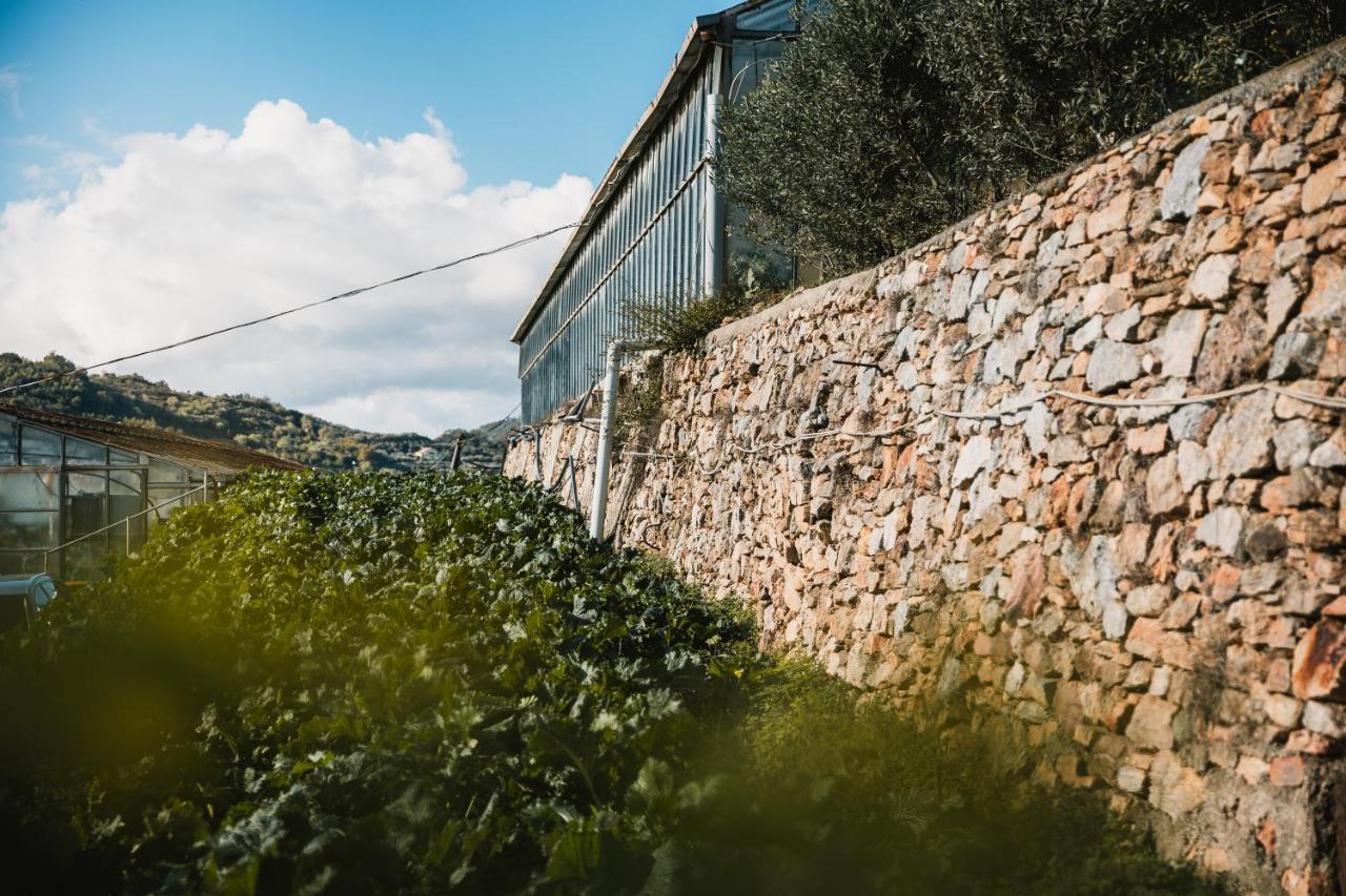 Farm stay Rose Di Pietra *