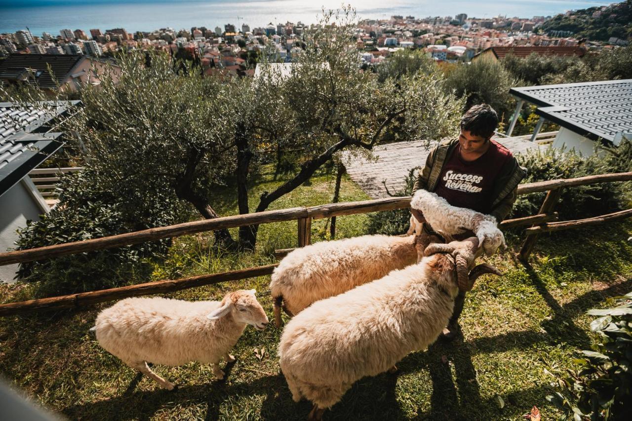 Alloggio per agriturismo Rose Di Pietra *